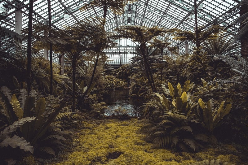 Wizardly Greenhouses
